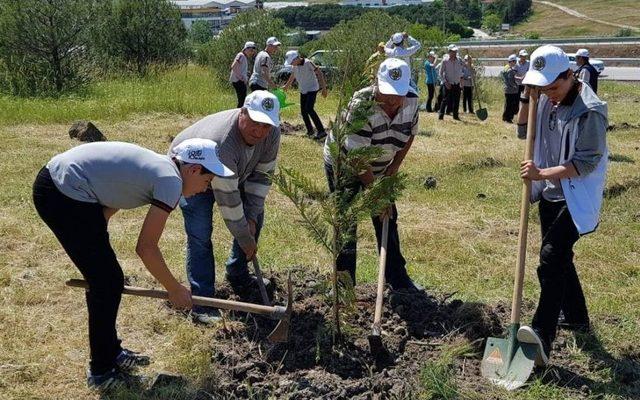 Balıkesir’de İmam Hatipliler Fidan Dikti