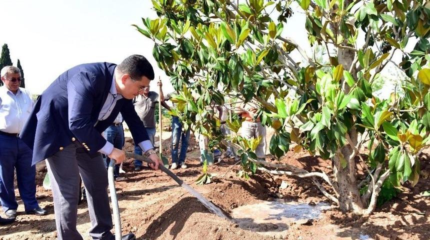 Kepez&rsquo;e Botanik Bah&ccedil;esi