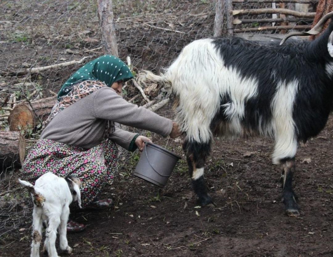 (&ouml;zel Haber) 34 Yıldır Ormanda Yaşıyorlar