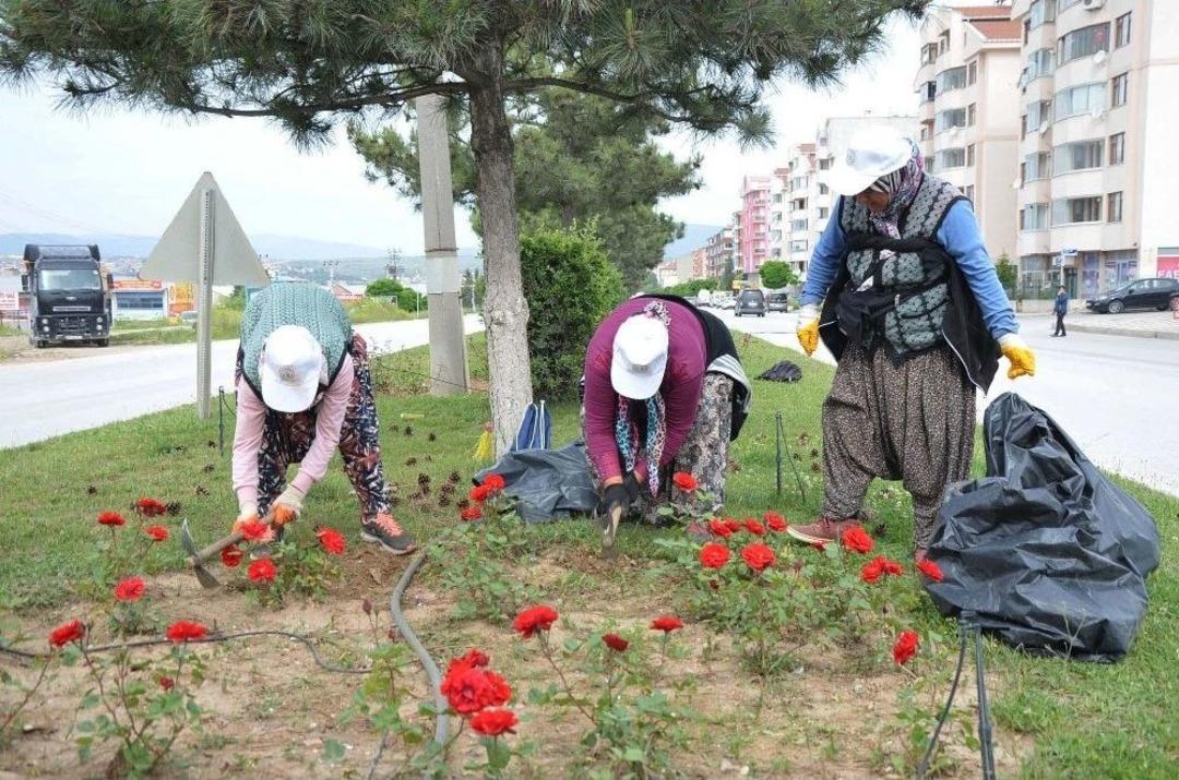 Yeşil Alanlarda Bakım &Ccedil;alışmaları Hız Kazandı