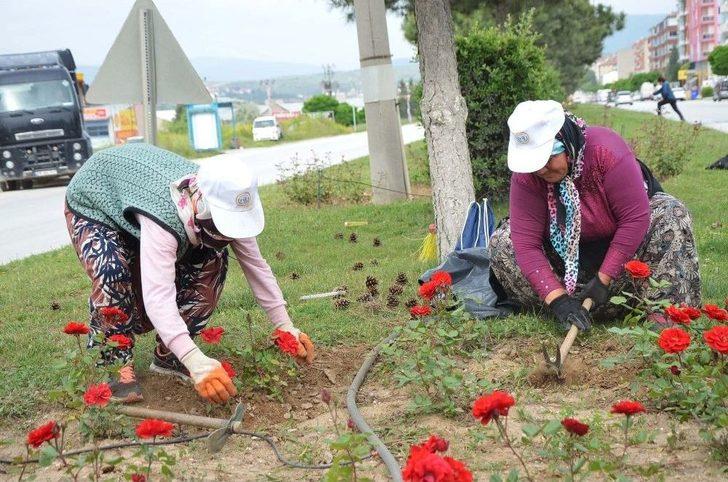 Yeşil Alanlarda Bakım Çalışmaları Hız Kazandı G1
