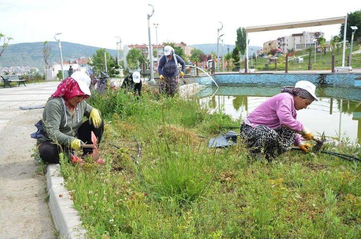 Yeşil Alanlarda Bakım Çalışmaları Hız Kazandı G2