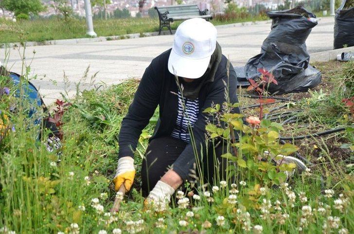 Yeşil Alanlarda Bakım Çalışmaları Hız Kazandı G3
