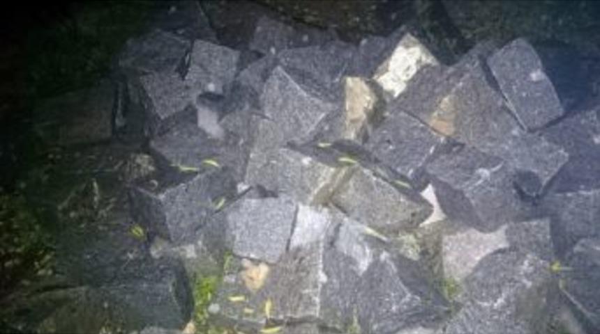 Zeytin Kuyusunda Kullanılan Taşı &Ccedil;aldılar