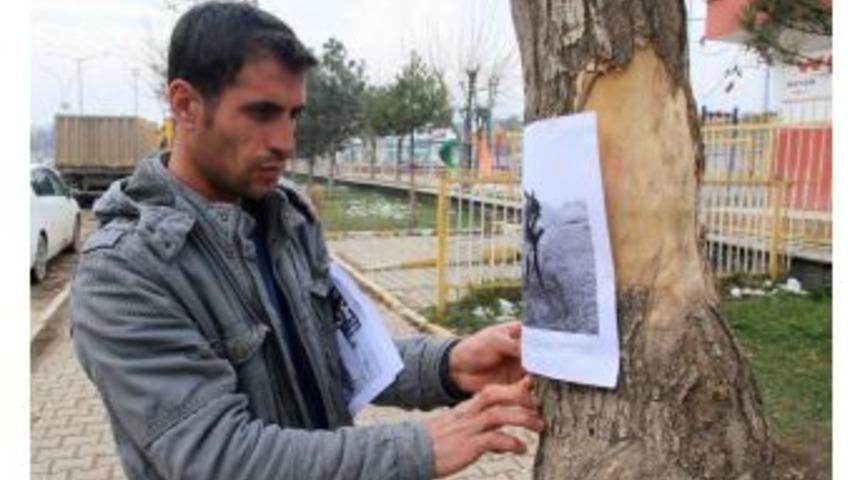 Kaybettiği Sıpasını Afişle Arıyor