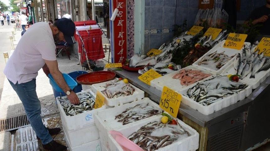 Ordu’da Balık Çok, Talep Yok