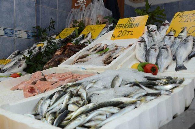 Ordu’da Balık Çok, Talep Yok