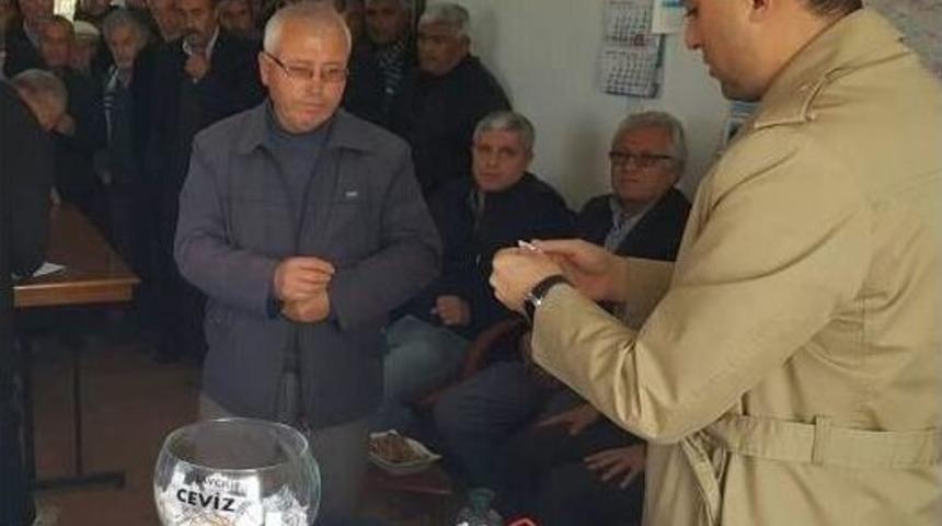 Kaman Kaymakamı Girgin Aşılı Ve T&uuml;pl&uuml; Ceviz Fidanlarının Yetişme Alanında İncelemede Bulundu