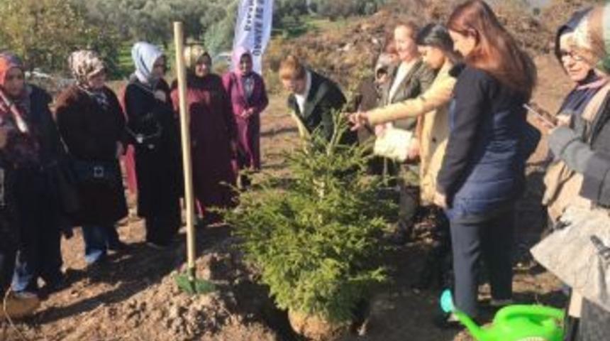 Şehit Öğretmenlerin Adları Fidanlarla Yaşatılacak