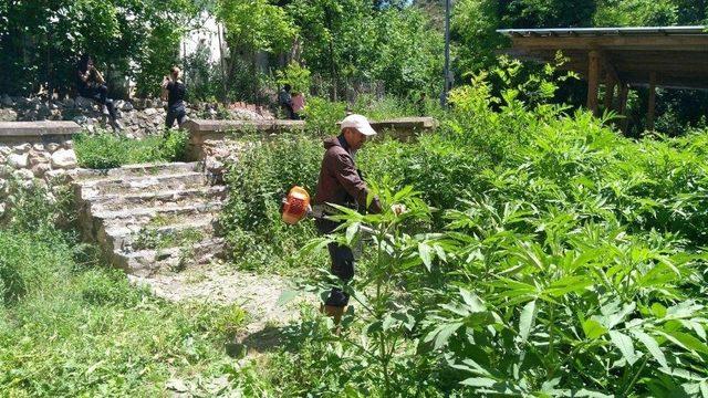 Yarhisar Şelalesi’ne Öğrenciler Sahip Çıktılar