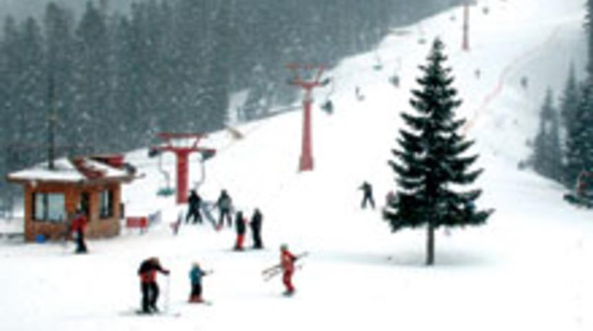 S&ouml;mestir &Ccedil;ok Renkli Ge&ccedil;ecek