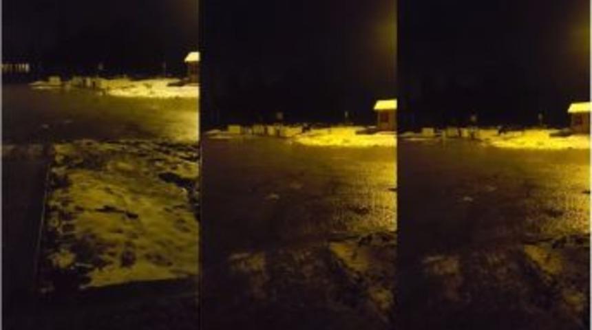 Kış Uykusundan Uyanacağına Pişman Oldu