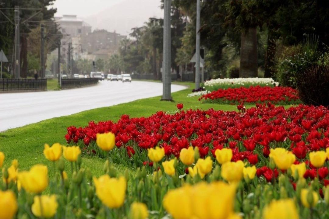 Samsun&rsquo;da Lale Zamanı