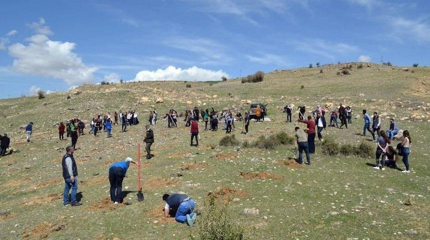 Tunceli&rsquo;de Her Şehide Bir Fidan