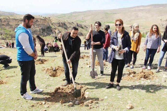 Tunceli’de Her Şehide Bir Fidan