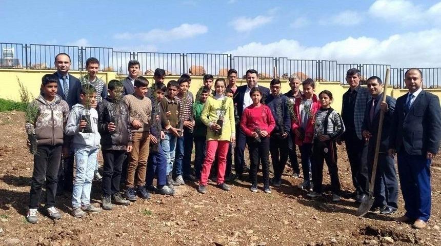 Musabeyli’de Öğrenciler Fidan Dikti