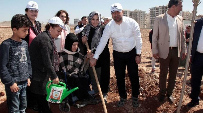 Şanlıurfa&rsquo;da Ağa&ccedil; Dikimi Devam Ediyor