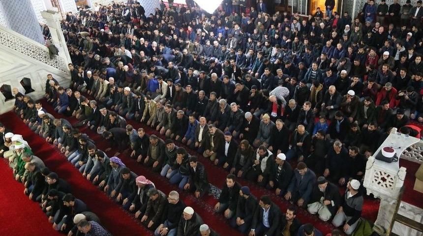 Peygamberler Şehrinde Mevlit Kandili Coşkusu