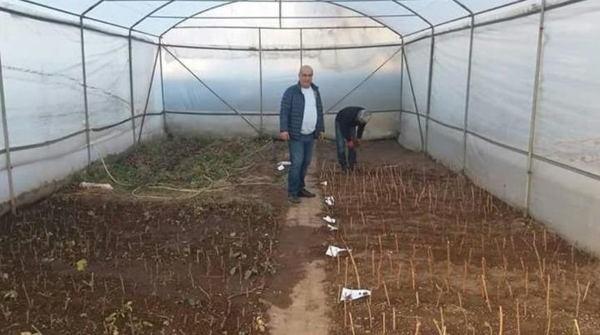 Ahlat&rsquo;ta Uygulama Serası Kuruldu