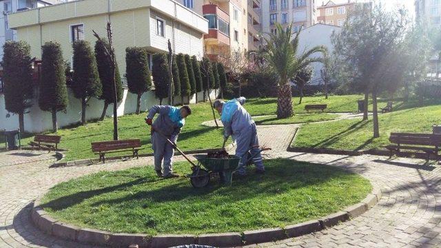 Ümraniye’de Bir Ayda Bin 100 Ağaç Dikildi