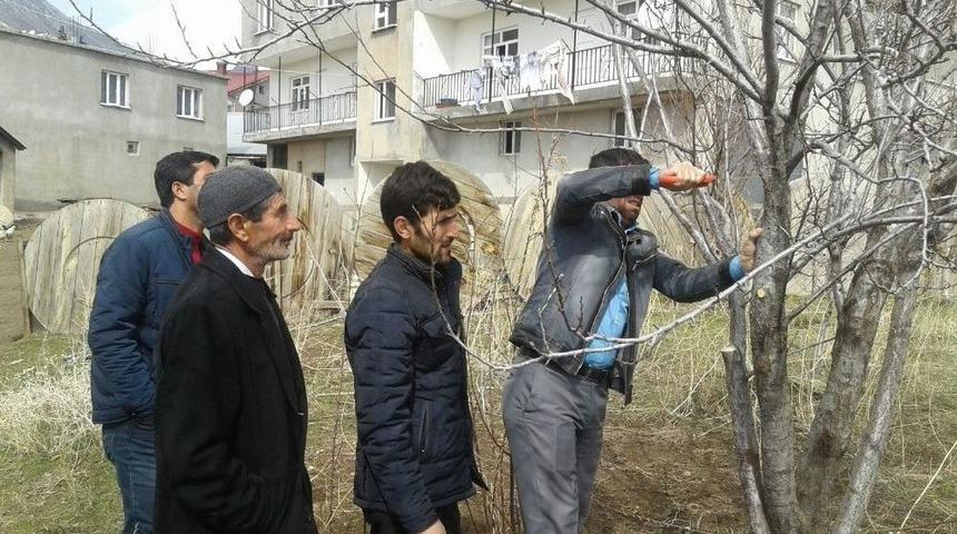 Tatvan&rsquo;da &ldquo;meyve Ağacı Budama&rdquo; Eğitimi