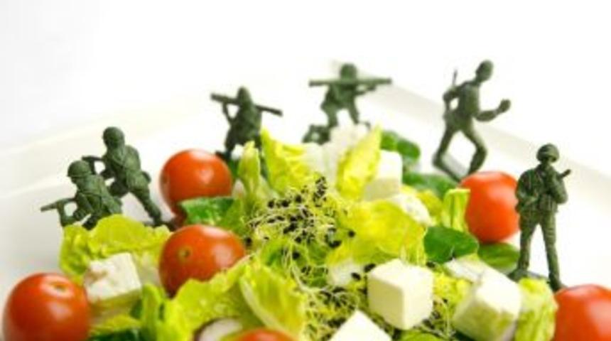 Tgdf &lsquo;gıda Savunması&rsquo; Eğitim Programı D&uuml;zenleyecek