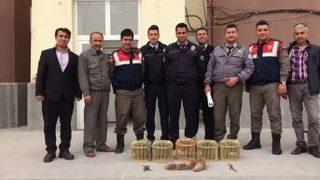 Kaçak Keklik Avcıları Yakalandı