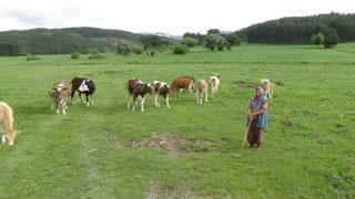 Genç Çifti Projesiyle Aldığı Destekle Yaşamı Değişti