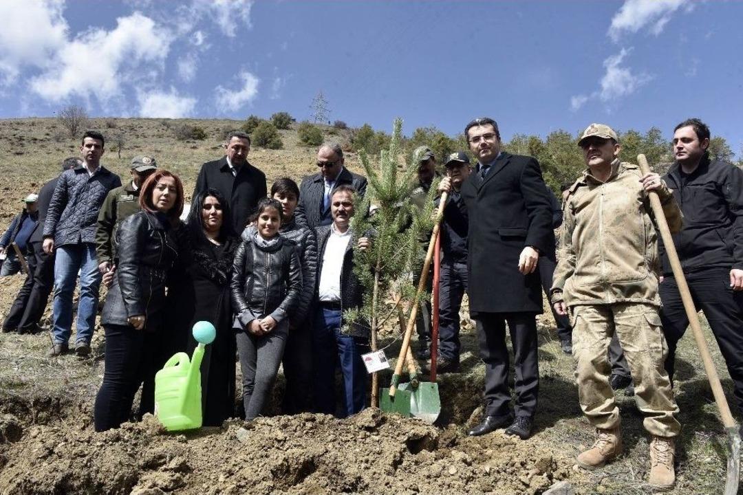 Şehit Astsubay Gedik İ&ccedil;in 524 Fidan G&uuml;m&uuml;şhane&rsquo;de Toprakla Buluştu