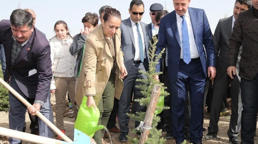 Afrin Şehitlerinin İsimleri Fidanlarda Yaşayacak