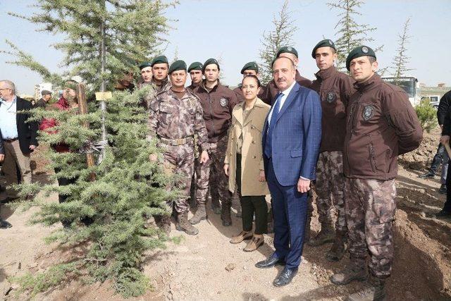 Afrin Şehitlerinin İsimleri Fidanlarda Yaşayacak