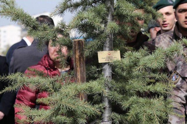 Afrin Şehitlerinin İsimleri Fidanlarda Yaşayacak