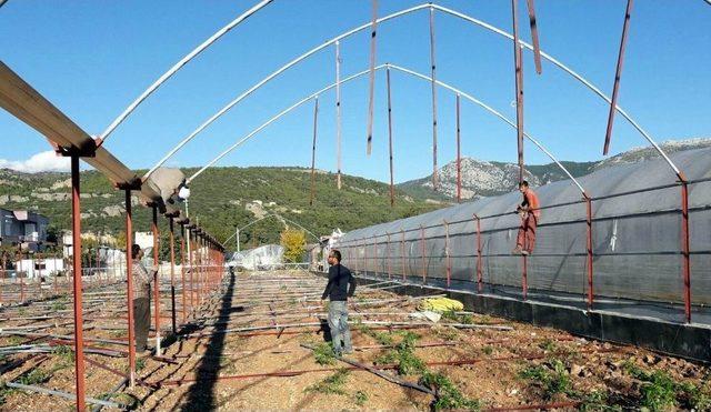 Afetzedeler Yaralarını Sarmaya Başladı