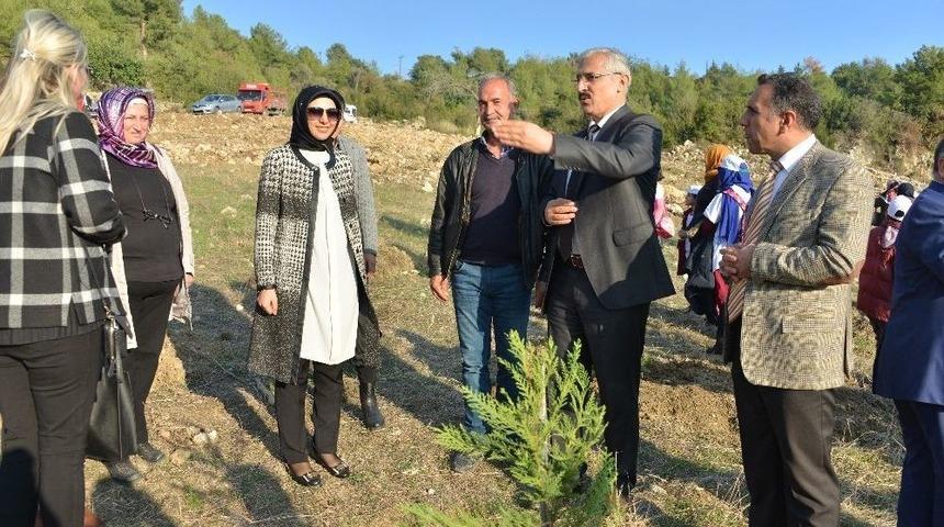 Mersin&rsquo;de G&ouml;n&uuml;l El&ccedil;ileri Fidan Dikti