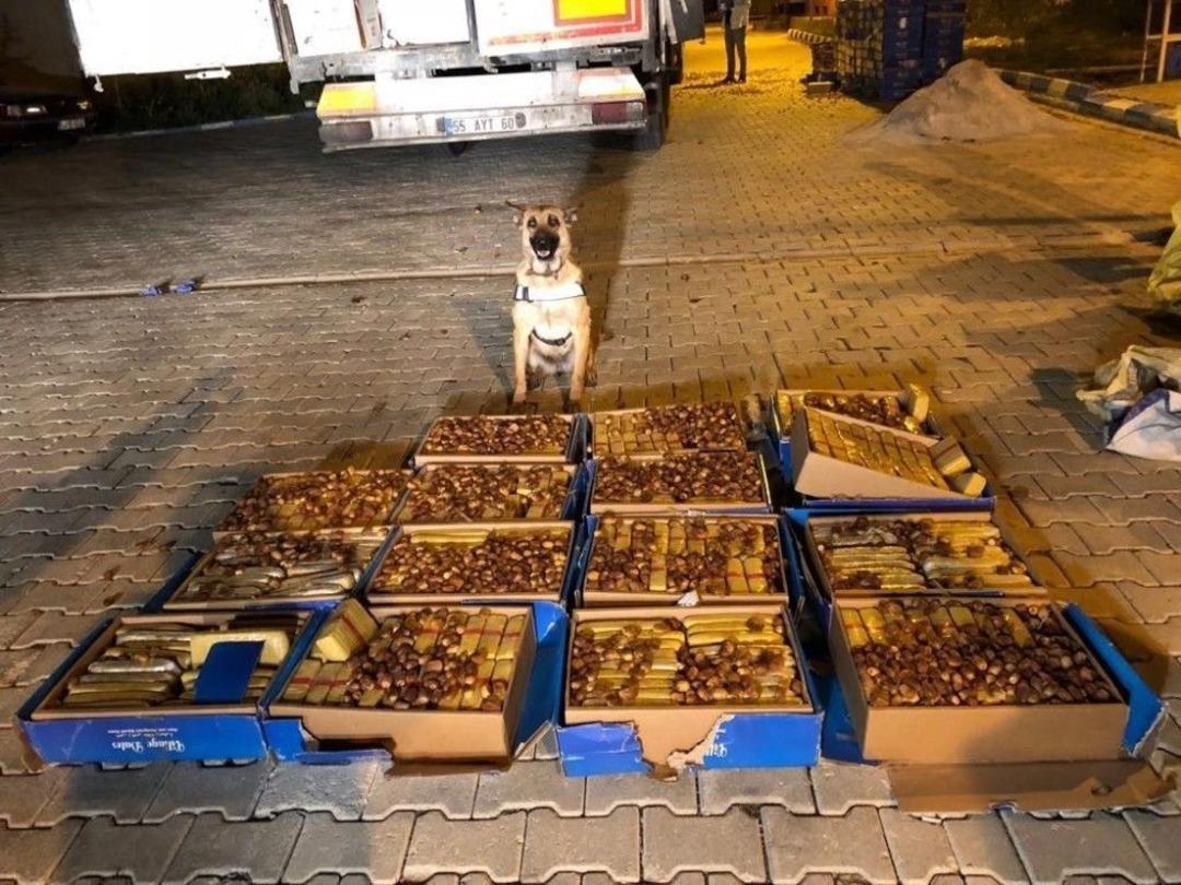 Van&rsquo;da Polis Hurma Kutuları İ&ccedil;erisinde 138 Kilo Eroin Ele Ge&ccedil;irdi