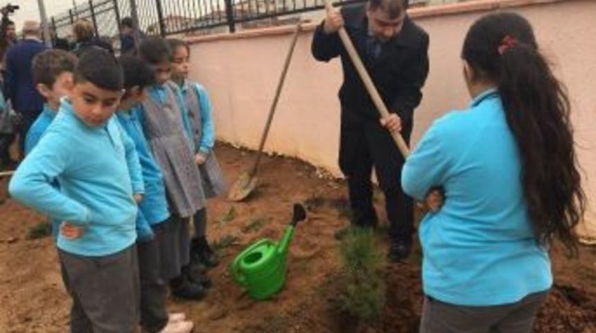 Ergene&rsquo;de Fidan Dikimi