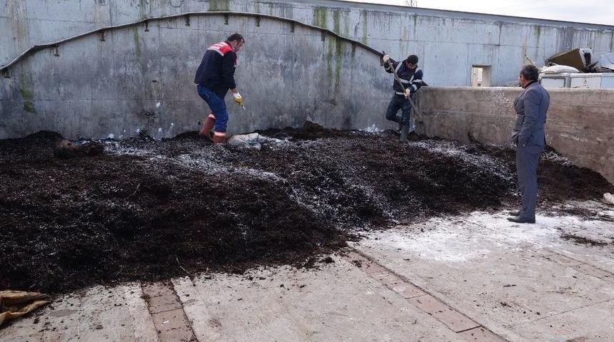 Organik G&uuml;brede Bir İlk