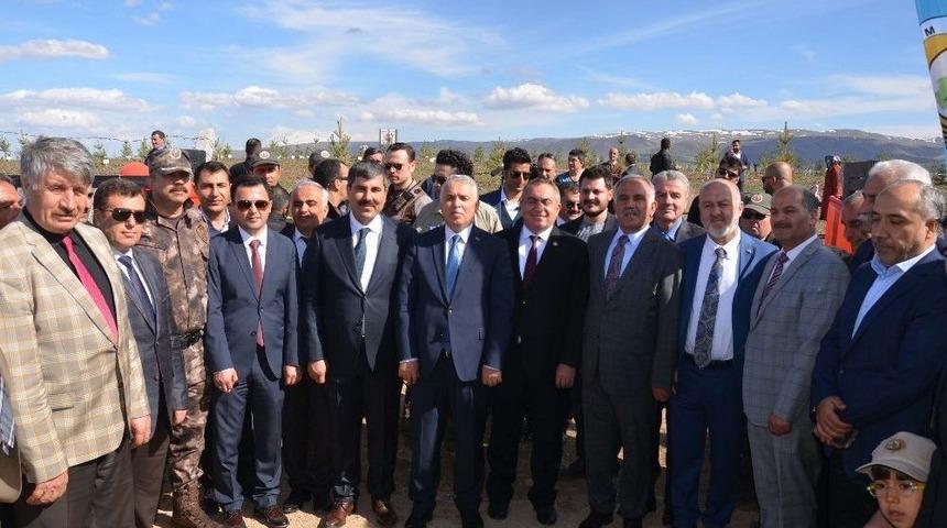 Bulanık’ta 15 Temmuz Şehitleri Anısına Fidan Dikildi