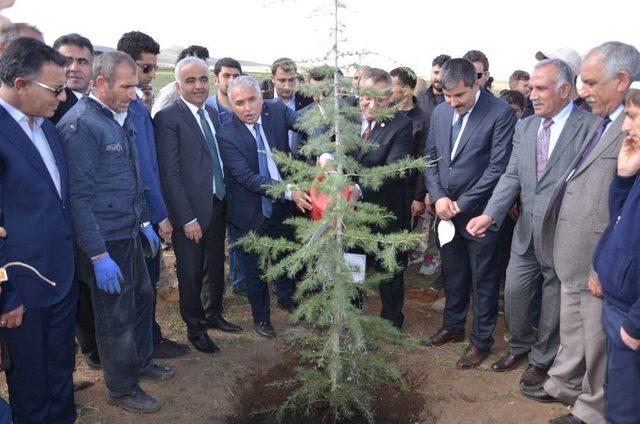 Bulanık’ta 15 Temmuz Şehitleri Anısına Fidan Dikildi