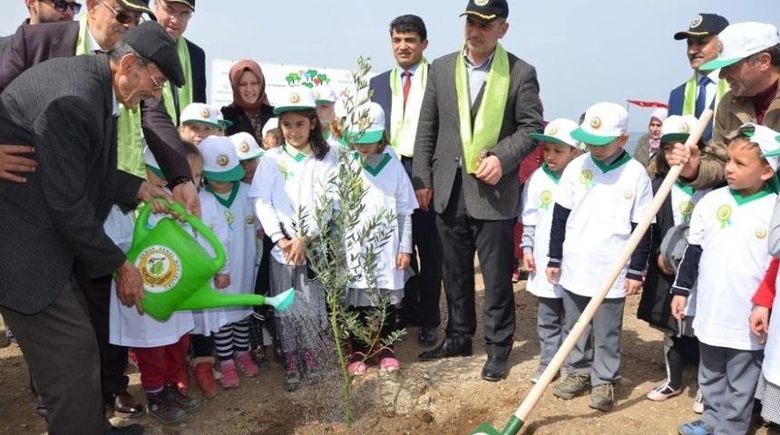Afrin Şehitleri İ&ccedil;in Hatıra Ormanı