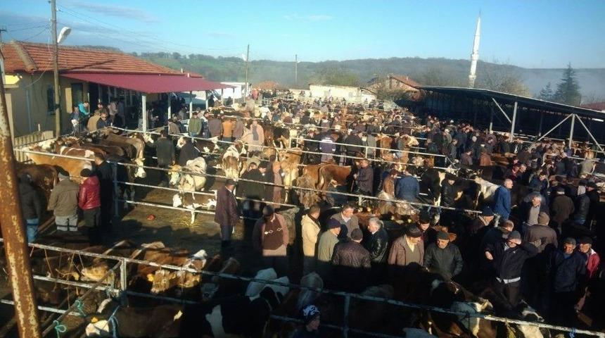 Doruk Canlı Hayvan Pazarı Eski G&uuml;nlerine Geri D&ouml;nd&uuml;