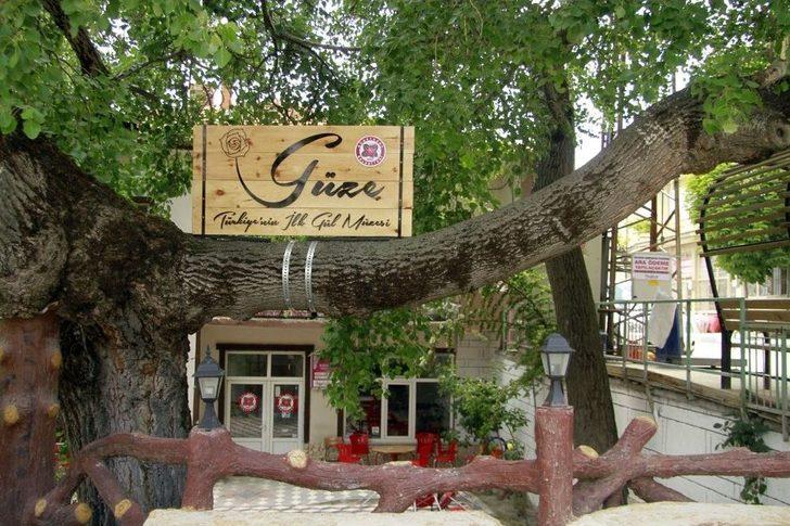 Türkiye’nin İlk Gül Müzesi: Güze G1