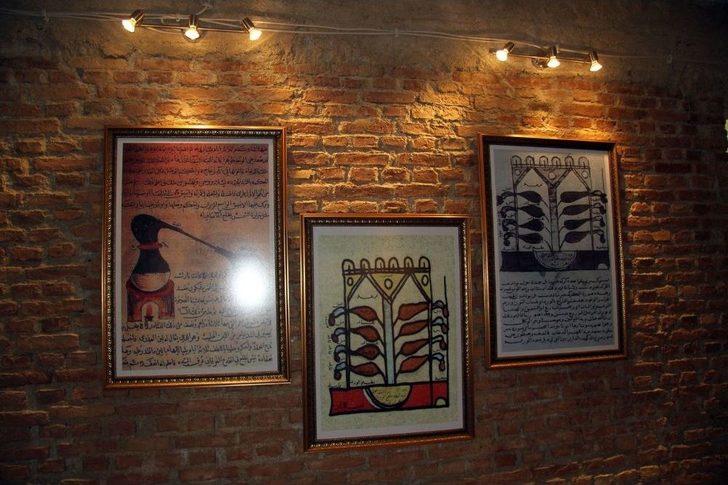 Türkiye’nin İlk Gül Müzesi: Güze G5