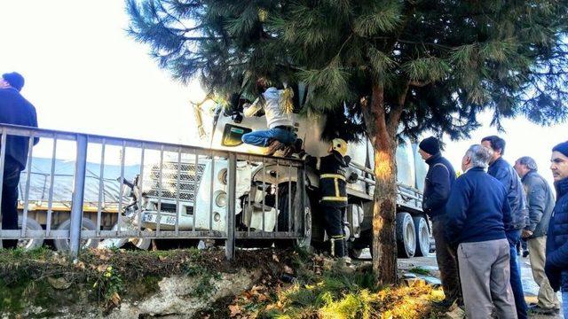 Gözünü Güneş Alan Tanker Sürücüsü Kaza Yaptı