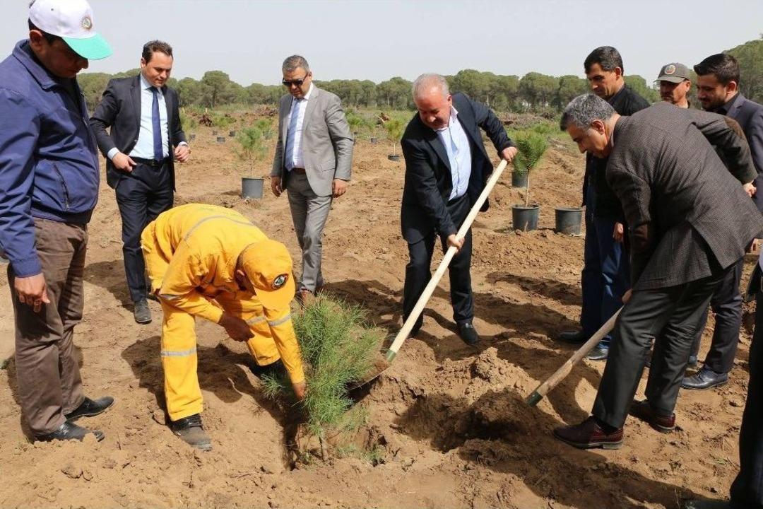3 Bin 500 Fidan Toprakla Buluştu
