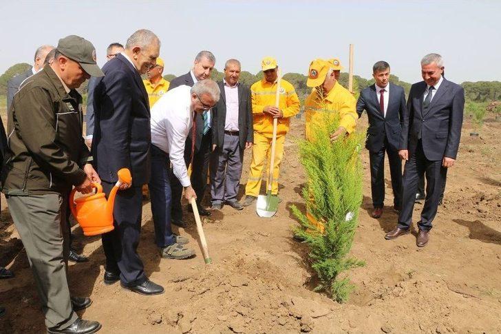 3 Bin 500 Fidan Toprakla Buluştu G1