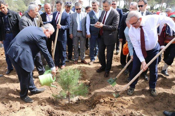 3 Bin 500 Fidan Toprakla Buluştu G2