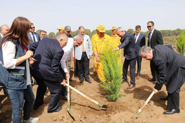 3 Bin 500 Fidan Toprakla Buluştu G4