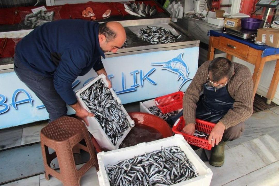 (&ouml;zel Haber) Olumsuz Hava Şartları Balık Tezgahlarına Yansıdı