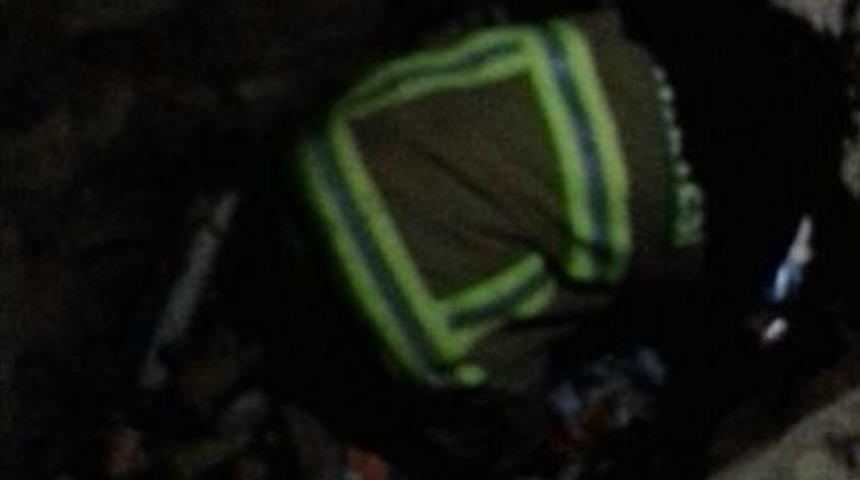 Su Sarnıcına D&uuml;şen Yavru K&ouml;pekleri İtfaiye Kurtardı